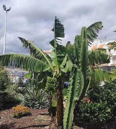 Maxmax Διαμέρισμα